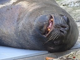 Tiergarten Schönbrunn am 23.03.2023